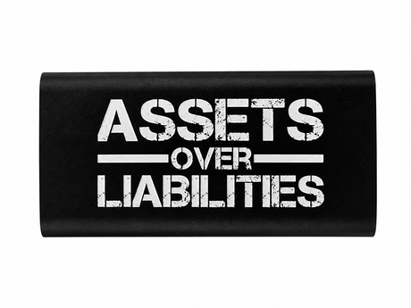 EYL X SACRED SEEDS ASSETS OVER LIABILITIES 8000mAH WIRELESS POWER BANK