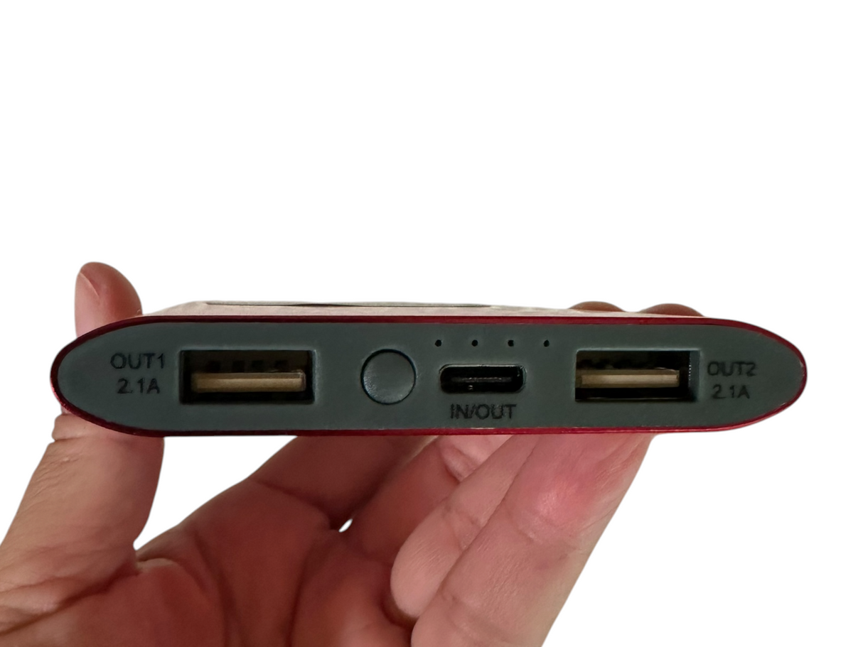 EYL X SACRED SEEDS ASSETS OVER LIABILITIES 8000mAH WIRELESS POWER BANK